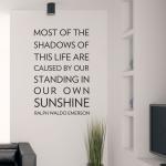 Most Of The Shadows - Motivational Quote - Vinyl..